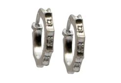 Huggie Hoop Earrings
