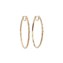 Oval Hoop Earrings